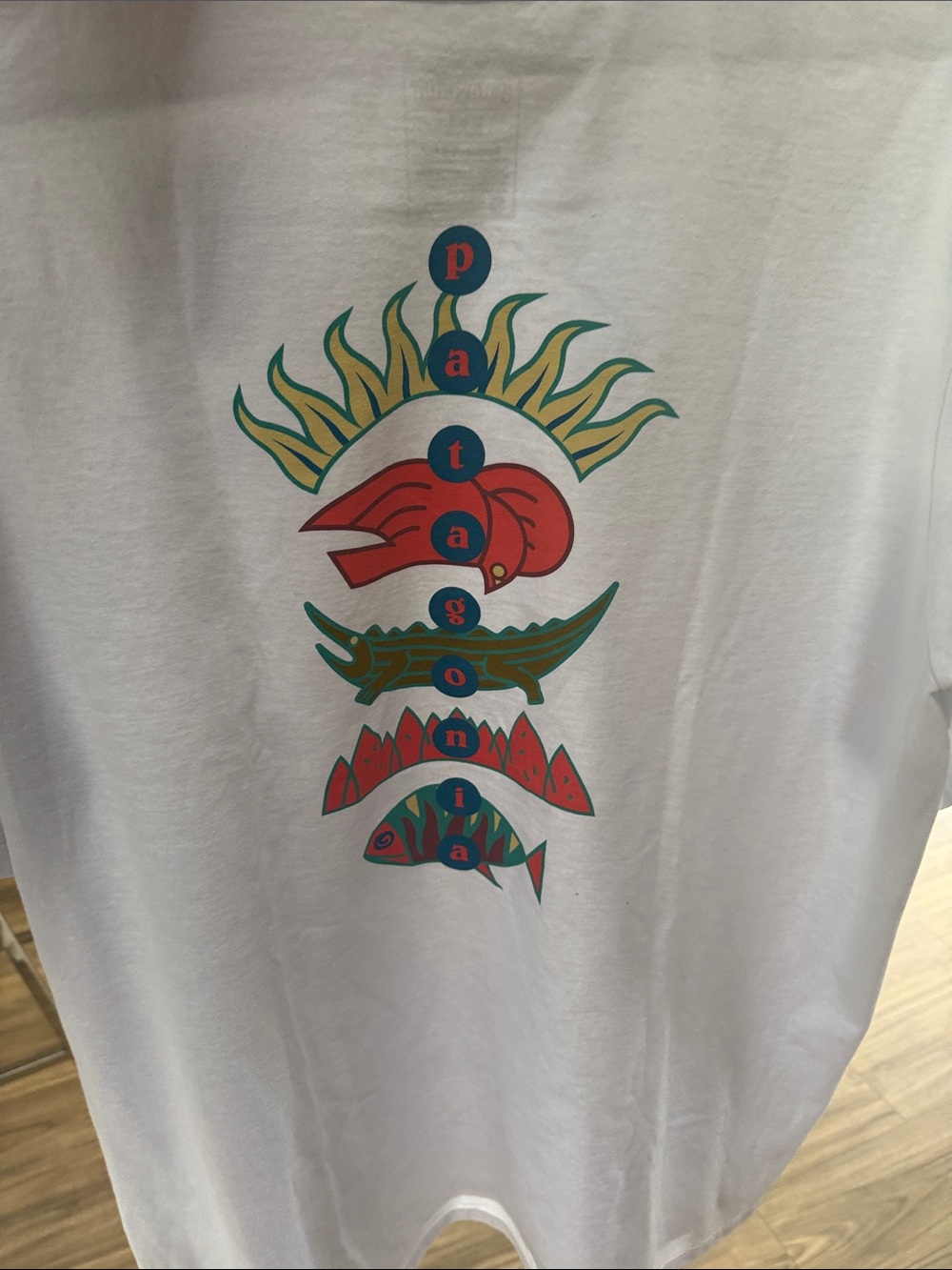 NWT Patagonia White Tee with Red & Teal Vertical Graphic